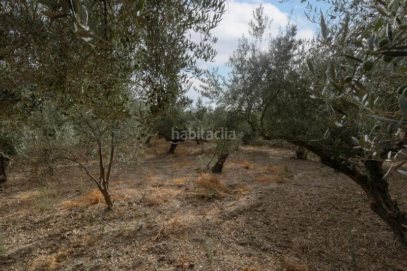 Foto 4a6b4dd3-1c50-4874-b038-8b86fa228031. Masia amb aparcament piscina a Polideportivo Alhendín