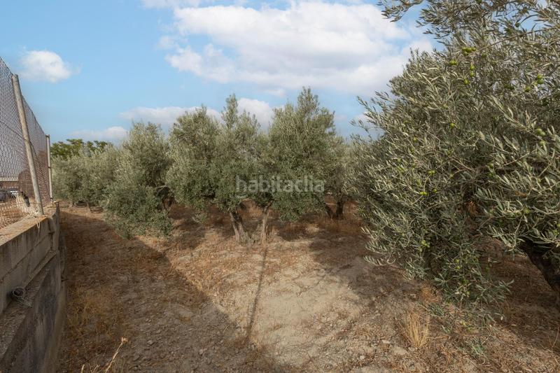 Foto 7b0b9045-6fad-40d5-87fc-d55c767b3152. Masia amb aparcament piscina a Polideportivo Alhendín