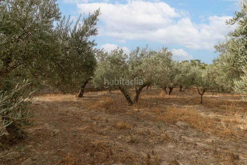 Foto cc222ba0-26ba-4808-944a-c40574a37611. Masia amb aparcament piscina a Polideportivo Alhendín