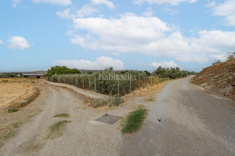 Foto f5d012fd-eaad-434b-ab5b-697e3f3e17b0. Masia amb aparcament piscina a Polideportivo Alhendín