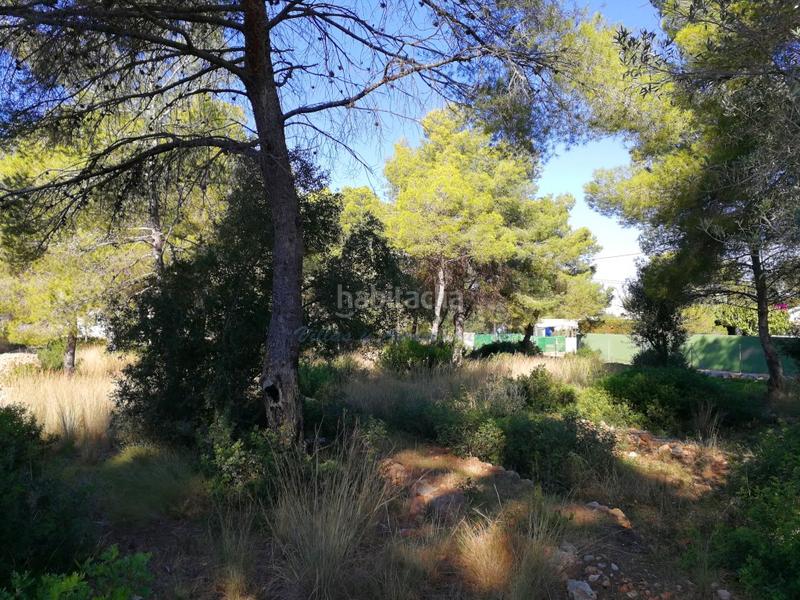 Foto c0391a4d-539a-49d9-84a4-5e0ee98a7ead. Residential plot in Las Rotas / Les Rotes Dénia