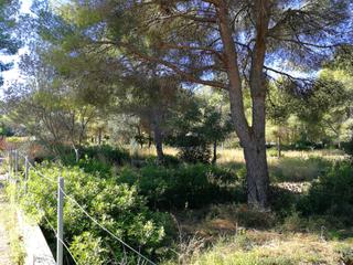 Terreny residencial  N/a. Denia  se vende parcela en las rotas