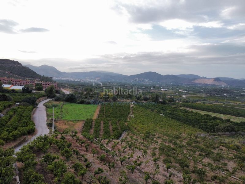 Foto c5dbfae2-5318-48a3-800b-cb6ce5a45166. Masia a Pego