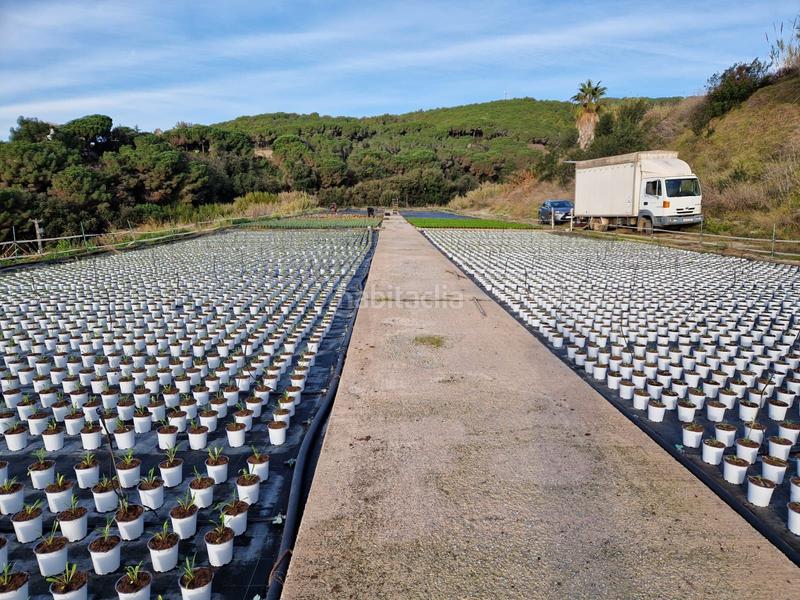 Foto 08d1d35d-68a9-4c17-a157-b06499c7e23a. Finca rústica finca rustica con grandes servicios en Sant Cebrià de Vallalta