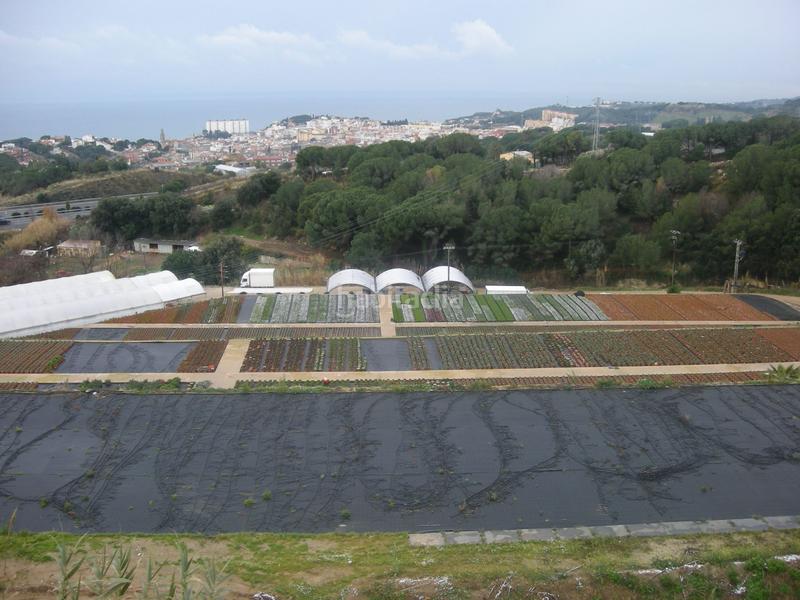 Foto 0fbc4c96-458f-4082-9902-2b83bc89ccf5. Finca rústica finca rustica con grandes servicios en Sant Cebrià de Vallalta