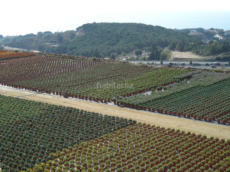 Foto 5b5395e6-7308-43dd-892b-b70db12a85f0. Finca rústica finca rustica con grandes servicios en Sant Cebrià de Vallalta