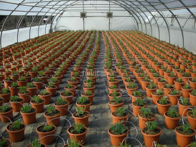 Foto 76df0ebf-a008-4579-93f9-761a188b420b. Finca rústica finca rustica con grandes servicios en Sant Cebrià de Vallalta