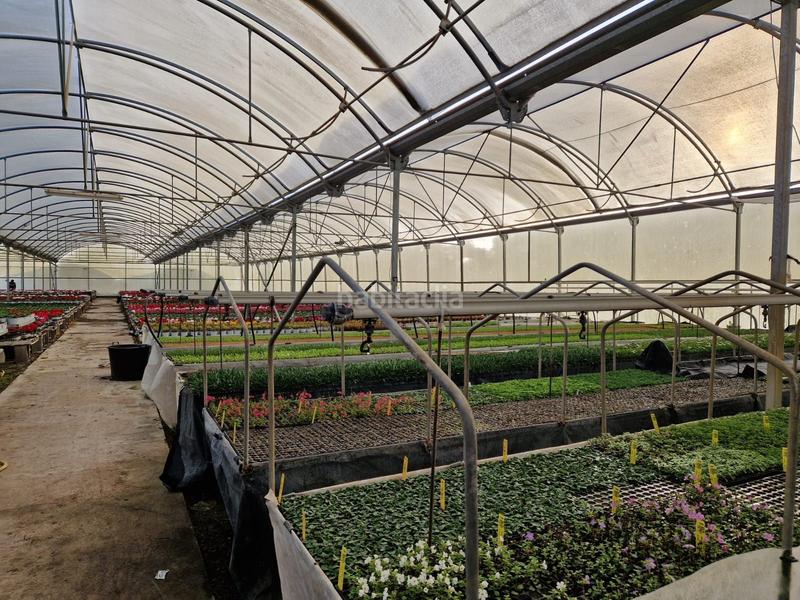 Foto abd3e8d5-58eb-4f66-b81d-1f10029aade1. Finca rústica finca rustica con grandes servicios en Sant Cebrià de Vallalta