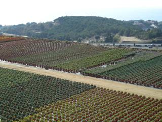 Landgut in Sant Cebri de Vallalta. Finca rustica con grandes servicios
