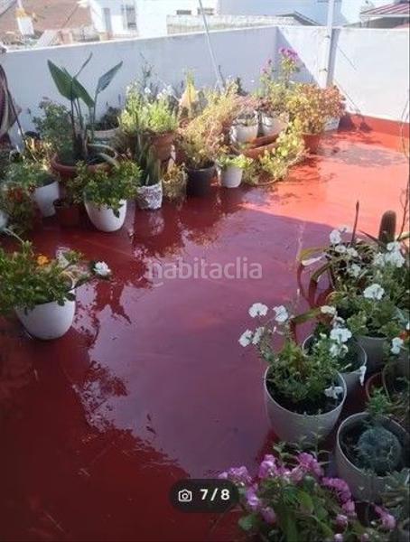 Foto b6f93e2f-9bb0-4a0f-b223-ffd2b1456c2e. Casa adossada a Almonte Almonte