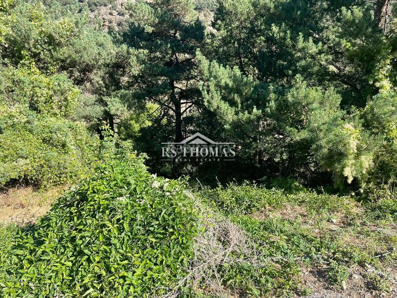 Foto a3fb5d46-e09f-431e-8f77-08541a57f06a. Finca rústica terreno amplio para comprar en Aixirivall en Sant Julià de Lòria