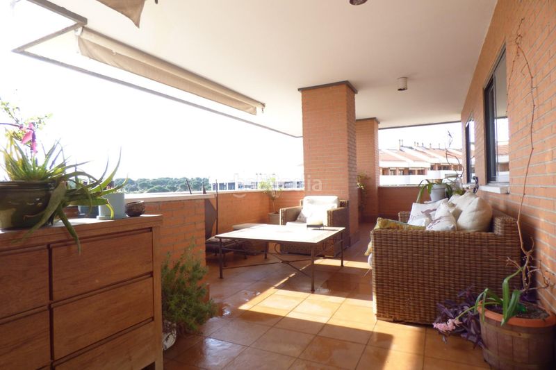 Foto e388c82a-3a3d-4994-9bfe-b0b536bebfc4. Miete dachwohnung mit heizung parking pool in Monte el Pilar Majadahonda
