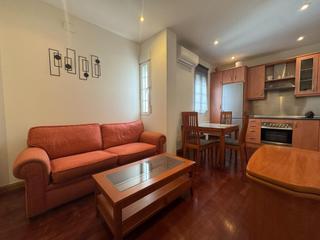 Flat in Calle FERNANDEZ DE LOS RIOS