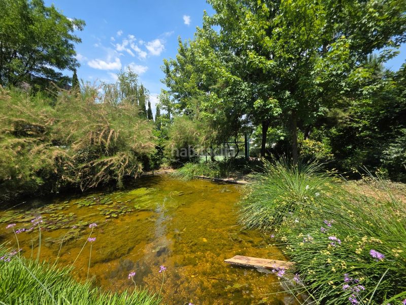 Foto b4061142-b105-492f-a571-c6706fb185b7. Àtic amb calefacció aparcament piscina a Somosaguas Pozuelo de Alarcón
