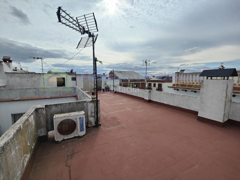 Foto 2df1bb6d-d212-435d-b69d-f20e35e2475f. Pis a Lepe