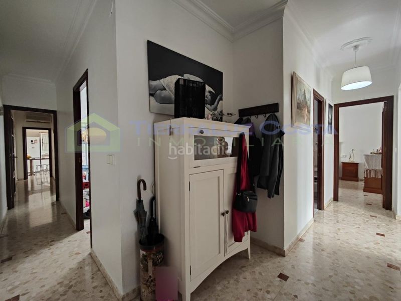 Foto 6e0071f2-7a73-4480-b72b-88bb38826653. Pis a Lepe