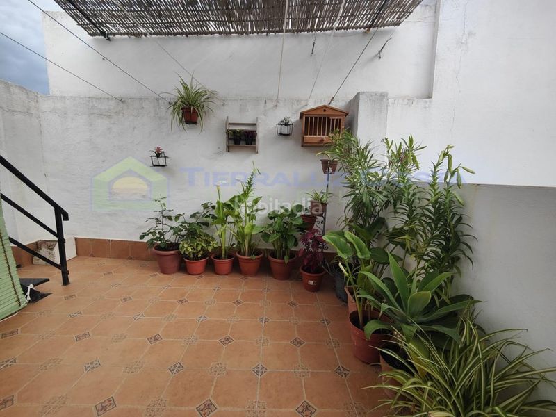 Foto fed46956-8d77-4cc2-ae36-dfb5a125a17a. Pis a Lepe