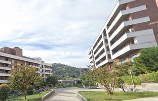 Pis a Ortuella. Piso en venta en ortuella, 3 dormitorios.