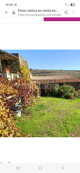 Foto 318f5519-e7d7-455b-a1f0-00175b42c8fe. Finca rústica en calle la capellanía 59 diego en La Quinta - Taucho Adeje