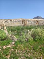 Landgut in Calle de la Iglesia 7