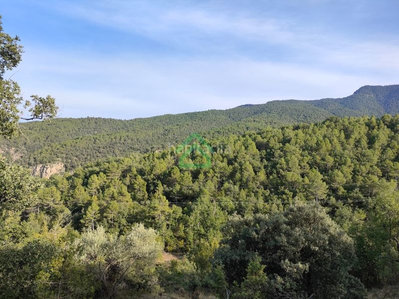 Foto 10969131-a286-4c9e-a842-f62ef159c315. Masia a Coll de Nargó