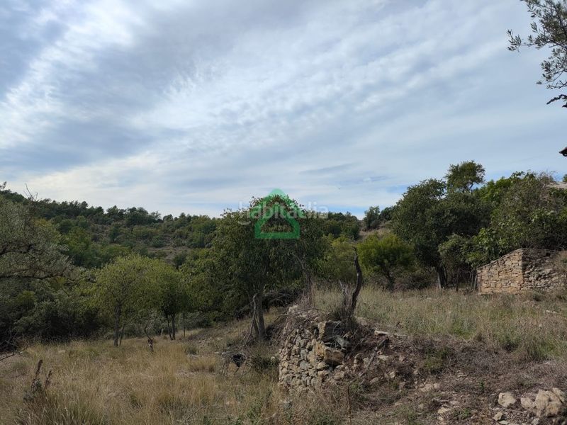 Foto 45e85e8b-3d54-4c90-9f13-1af48c872f54. Masia a Coll de Nargó