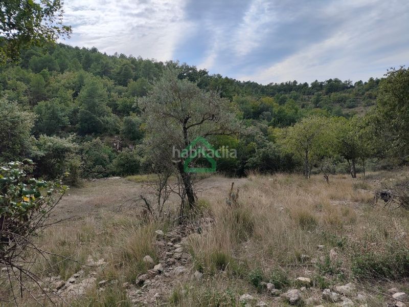 Foto 4b058043-2dc2-47cd-8204-04323ed47736. Masia a Coll de Nargó