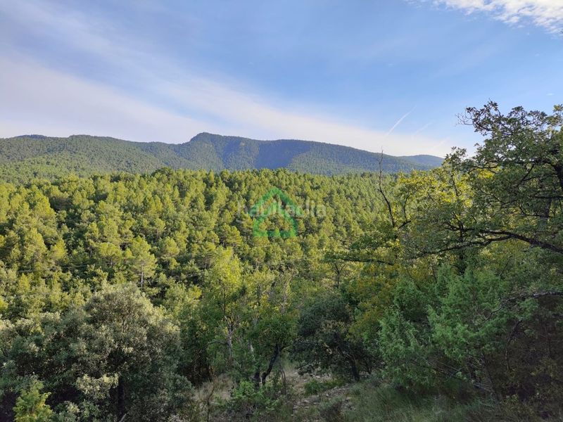 Foto 997581f6-8f75-4887-8ea0-7f94cb5b90f3. Masia a Coll de Nargó