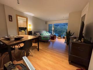 Appartement  Carretera del coll d'ordino. Piso con luz, vistas y terraza en ordino  elegancia y calma de m