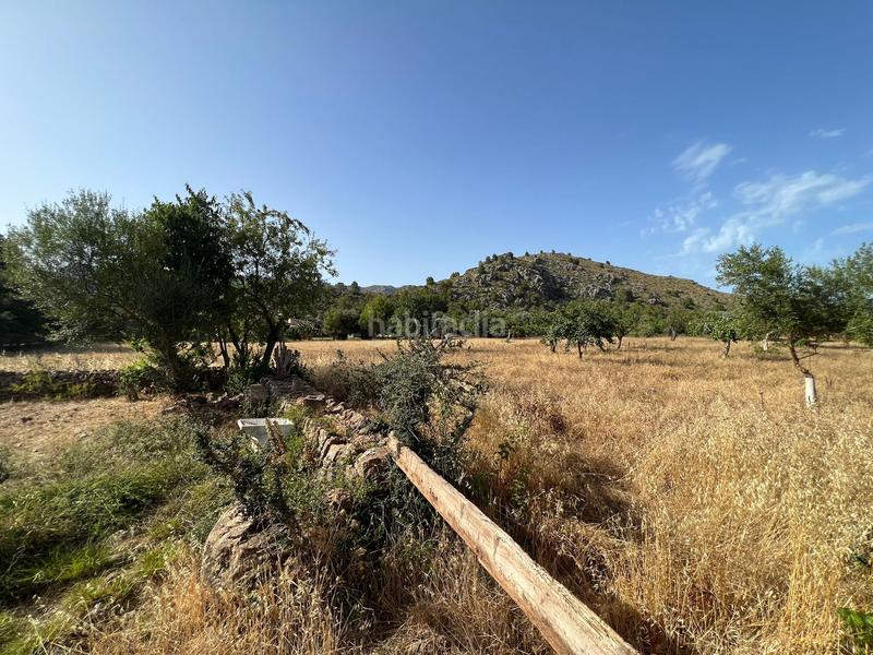 Foto 16ad1826-9ce2-45bd-8283-837ebf68c5ab. Casa in Pollença poble Pollença