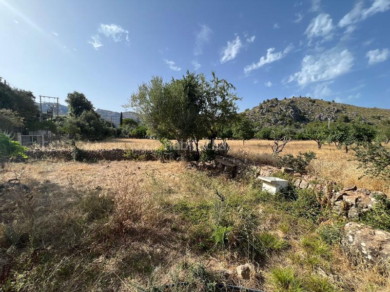 Foto 2be65e79-9611-4f77-a60b-7cdd3e29bb66. Casa in Pollença poble Pollença