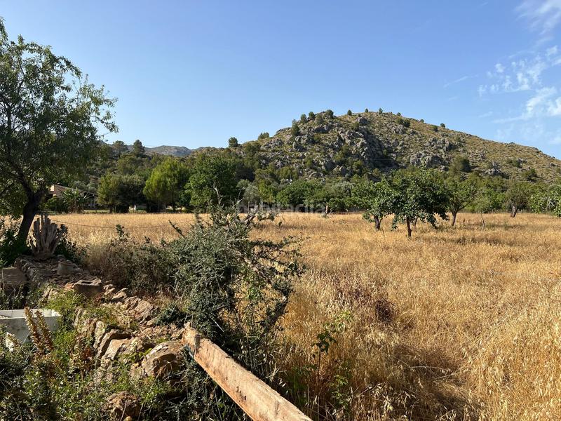 Foto 5b5d79e8-a43f-49a4-96f3-e23d7fc293ea. Casa in Pollença poble Pollença