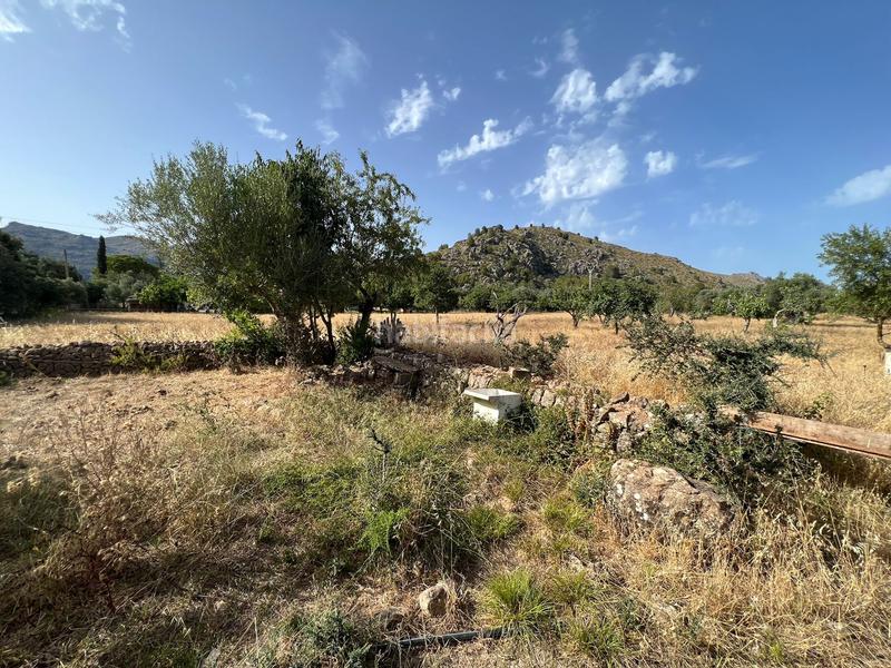 Foto bbd01858-df10-4192-83db-7522c9376d84. Casa in Pollença poble Pollença