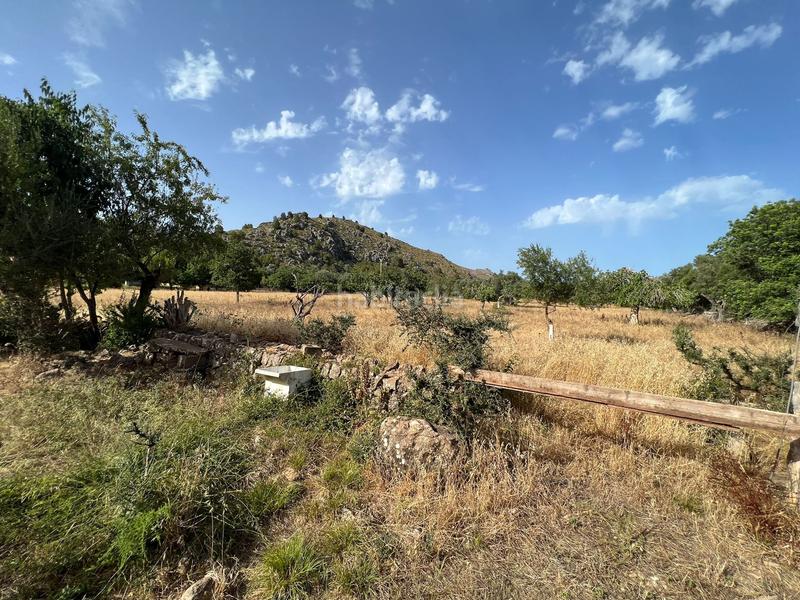 Foto 3dad0c48-72e9-4ff1-98ef-e8e96494f331. Maison dans Pollença poble Pollença