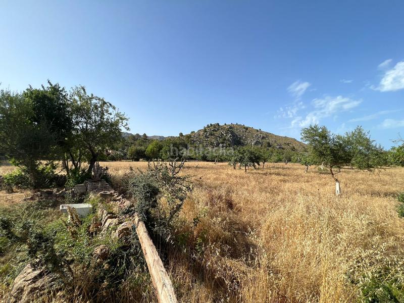 Foto d6b8194b-73a8-493e-8741-aa15486b7024. Maison dans Pollença poble Pollença