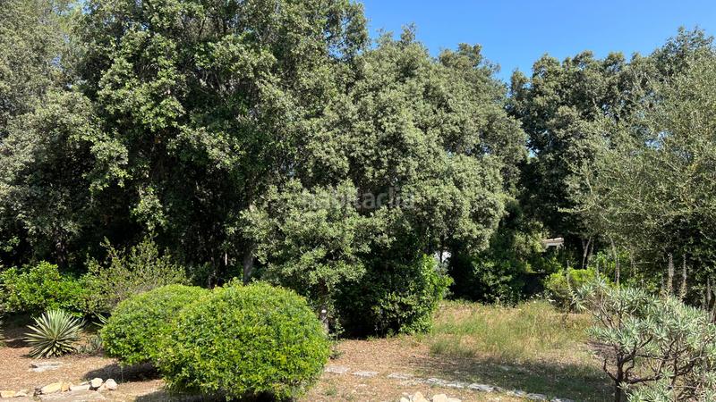 Foto 10cd191e-8d28-4918-be37-faceaa6fbbc0. Wohngrundstück in Sa Pobla