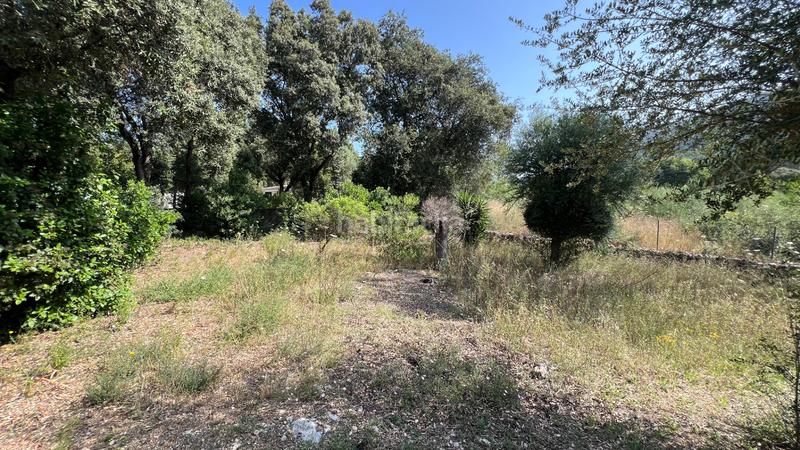 Foto 7ae6497e-530b-496c-a71c-d089361fc4d8. Wohngrundstück in Sa Pobla