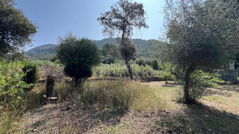 Foto bbb7ebc1-6597-4c76-9883-154aa3f2743b. Wohngrundstück in Sa Pobla