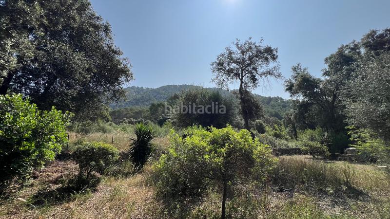 Foto f84da445-cc34-4803-8831-a97ae2d8dd0d. Wohngrundstück in Sa Pobla