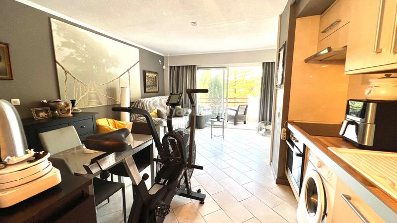 Foto 4165f8e0-7746-41cb-8ebd-5eaf1e0aa01b. Estudi amb piscina a port d´Alcúdia-platja dálcúdia Alcúdia