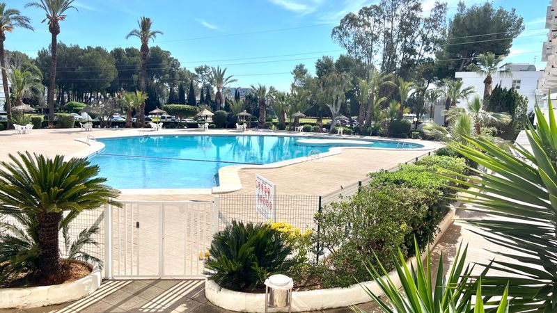 Foto c6a23775-e9c2-4f4b-a46b-b7bf6ec2b58f. Estudi amb piscina a port d´Alcúdia-platja dálcúdia Alcúdia