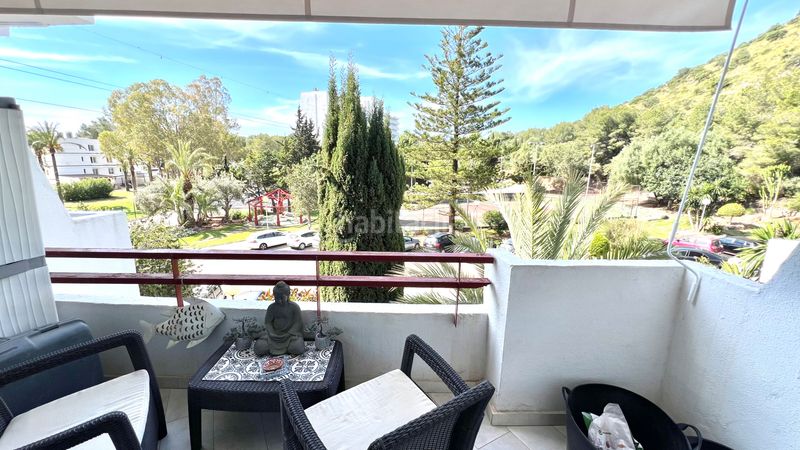 Foto 8caa179b-a546-4415-8f39-637ecf53700e. Estudio en port d´Alcúdia-platja dálcúdia Alcúdia