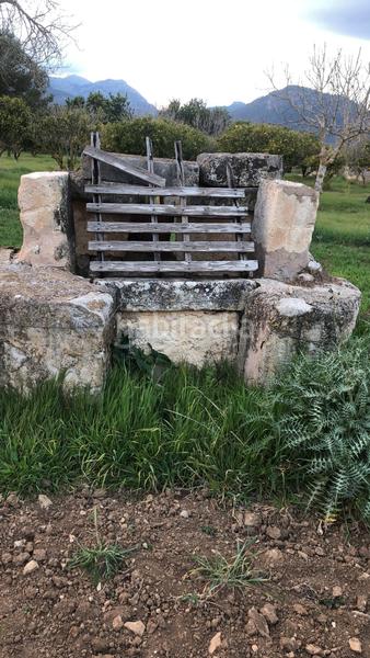 Foto 2fbc3238-626f-45f3-ac00-6273832ca5d5. Casale in Campanet