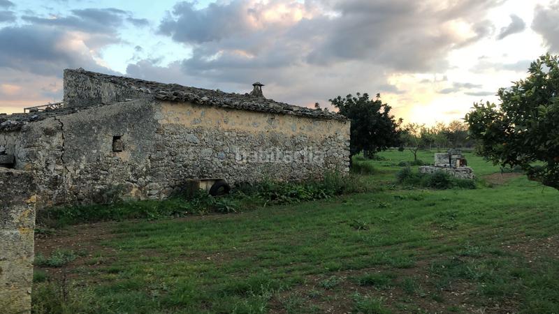 Foto aa159ebb-38f2-4a58-9eb2-902e00a2df38. Mas dans Campanet