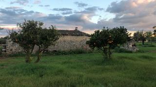 Masia a Campanet