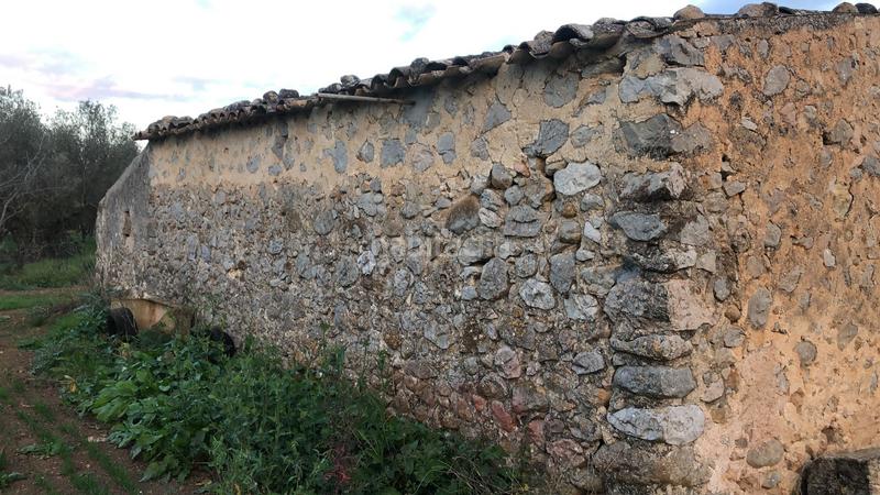 Foto 5677d7eb-aa56-49cc-80f5-f5836a753a58. Masia a Campanet