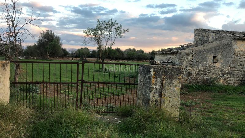 Foto bd2a3a1e-9c82-4dc8-9d10-3ae238815ce8. Masia a Campanet