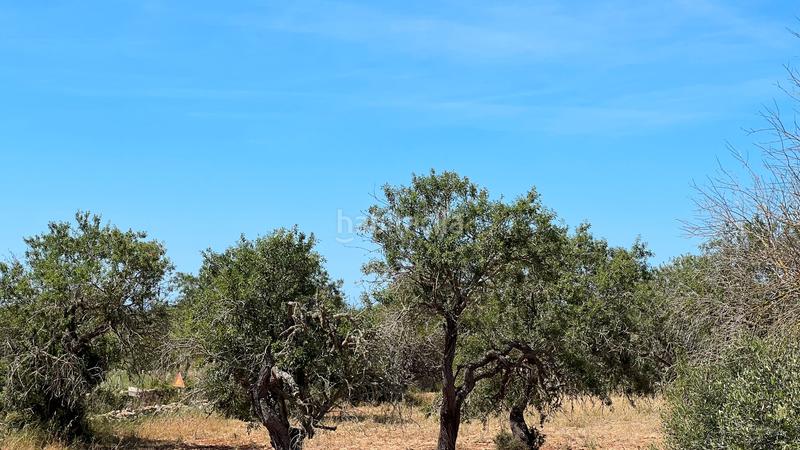 Foto 4f86e725-5316-40e9-b5cf-6dcbced28d87. Terreno residencial en S´Alquería Blanca - Calonge Santanyí