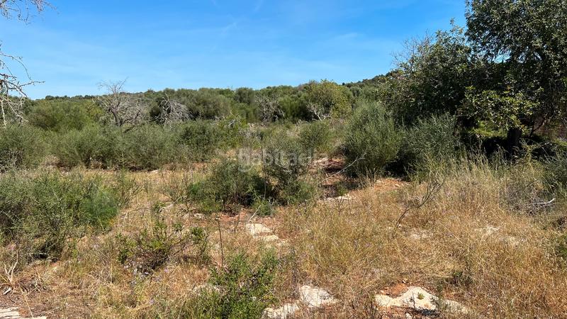 Foto 0162b003-7993-4b95-89fe-b512c0585a19. Terrain résidentiel dans S´Alquería Blanca - Calonge Santanyí