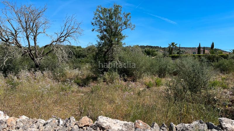 Foto 2c5927e4-e88e-4675-a5c3-189eb8ba6f38. Terreno residenziale in S´Alquería Blanca - Calonge Santanyí